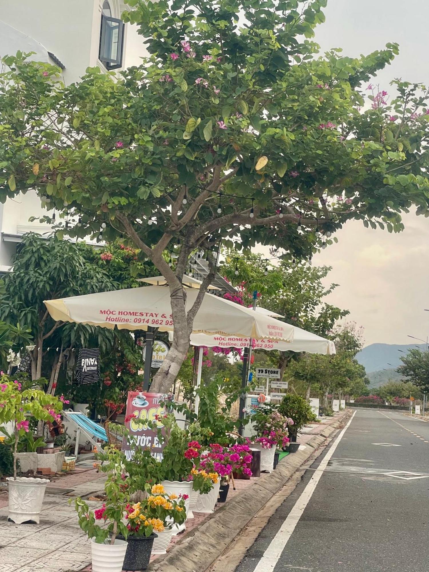 Moc Homestay- Near Bai Dai Beach Cam Lam Dış mekan fotoğraf